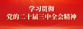 学习贯彻党的二十届三中全会精神